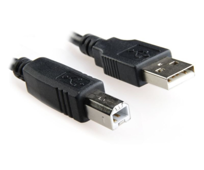 Kabel GEMBIRD A-B M/M CCP-USB2-AMBM-6